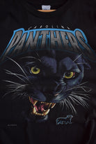 Vintage 1993 Salem x NFL Carolina Panthers Tee (L/XL) - Retrospective Store