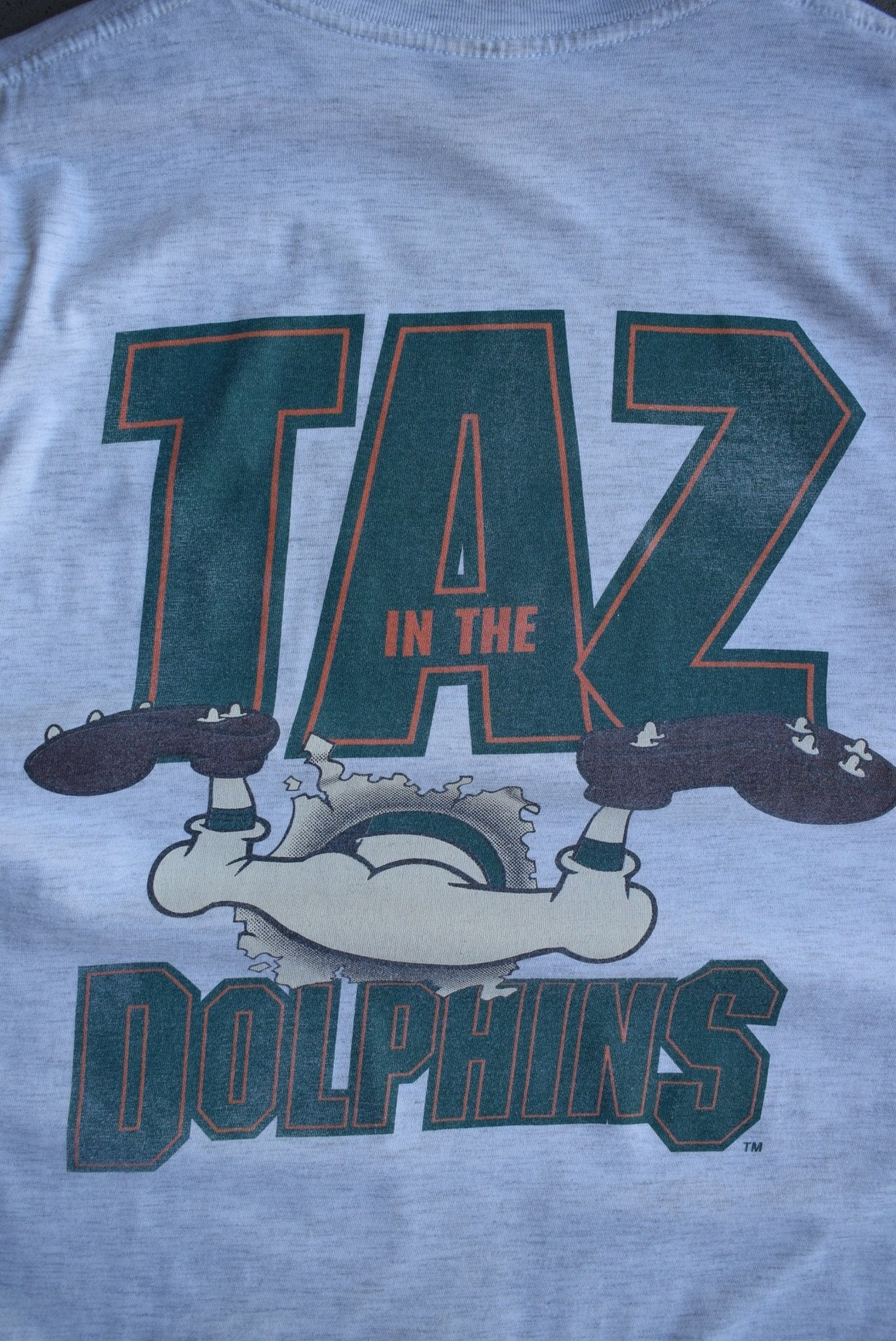 Vintage 1994 NFL Miami Dolphins x Warner Bros. Taz Tee (XL) - Retrospective Store