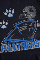 Vintage 90s NFL Carolina Panthers Tee (L) - Retrospective Store